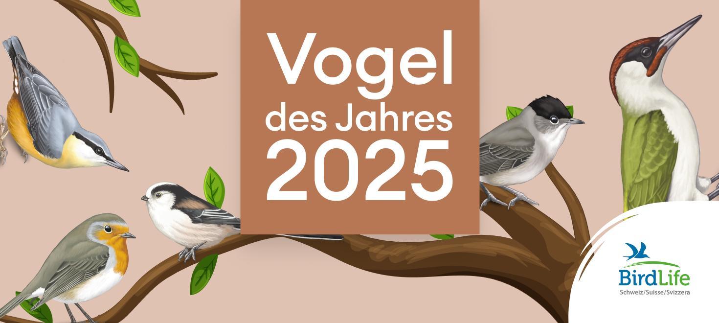 "Vogel des Jahres 2025"